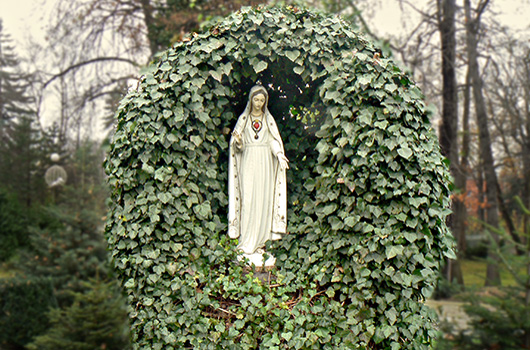 Figura Maryi w ogrodzie werbistów